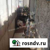 1-комнатная квартира, 34 м², 2/5 эт. на продажу в Гусе-Хрустальном Гусь-Хрустальный - изображение 1