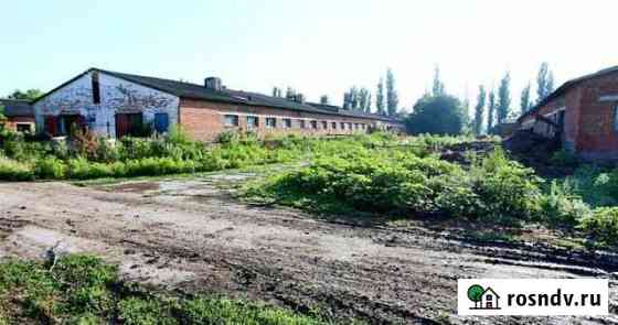 Участок СНТ, ДНП 1252 сот. на продажу в Платнировской Платнировская