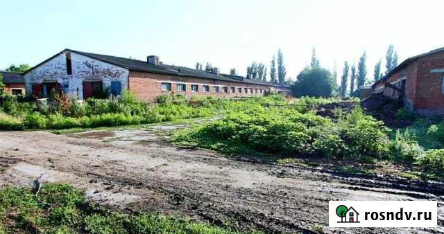 Участок СНТ, ДНП 1252 сот. на продажу в Платнировской Платнировская - изображение 1