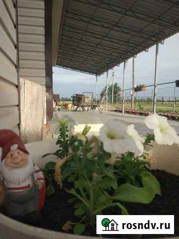 Дом 30 м² на участке 10 сот. в аренду посуточно в Должанской Должанская - изображение 1