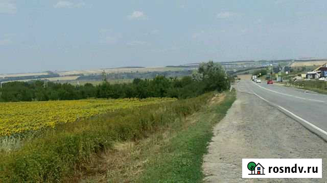 Участок СНТ, ДНП 5 сот. на продажу в Больших Салах Большие Салы - изображение 1