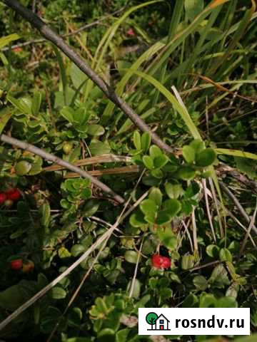 Участок ИЖС 60 сот. на продажу в Дубне Московской области Дубна - изображение 1