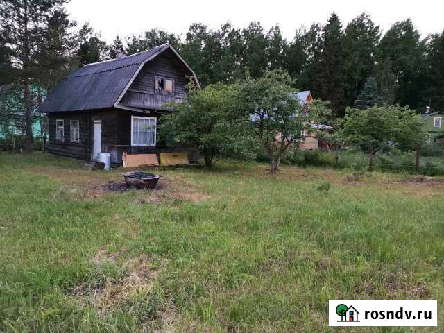 Участок СНТ, ДНП 6 сот. на продажу в Мге Мга - изображение 1