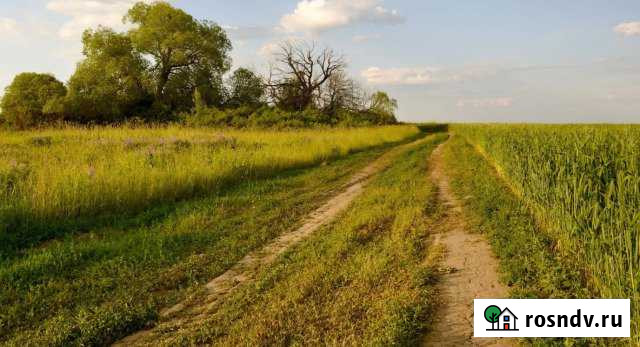 Участок ИЖС 16 сот. на продажу в Гороховце Гороховец - изображение 1