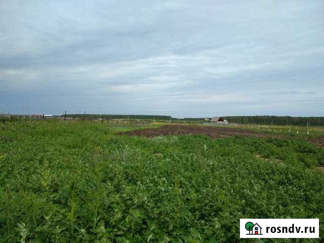 Участок ИЖС 32 сот. на продажу в Аргаяше Аргаяш - изображение 1