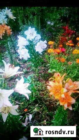 Дом 30 м² на участке 9 сот. на продажу в Лакинске Лакинск - изображение 1