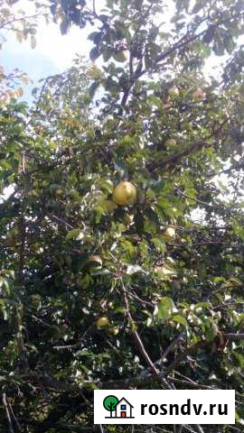 Участок СНТ, ДНП 6 сот. на продажу в Павлово Нижегородской области Павлово - изображение 1