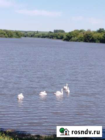 Участок ИЖС 69 сот. на продажу в Тиме Тим - изображение 1