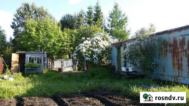 Участок СНТ, ДНП 20 сот. на продажу в Лузино Лузино - изображение 1