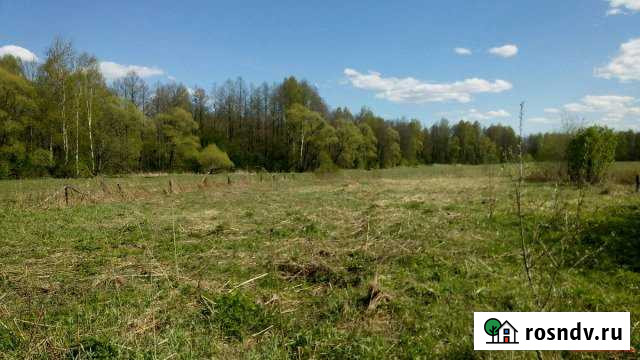 Участок ИЖС 22 сот. на продажу в Электрогорске Электрогорск - изображение 1