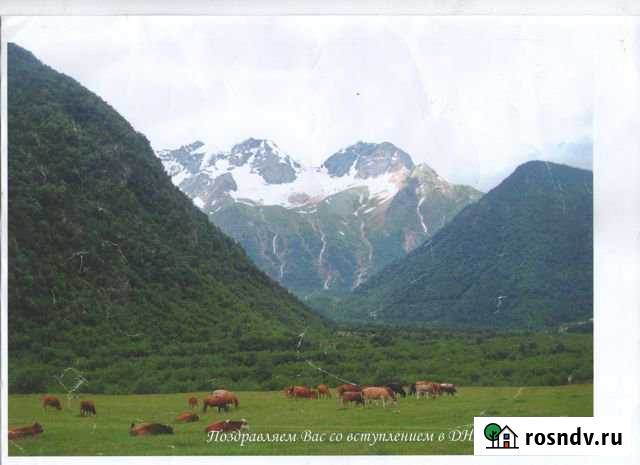 Участок ИЖС 6 сот. на продажу в Чиколе Чикола - изображение 1