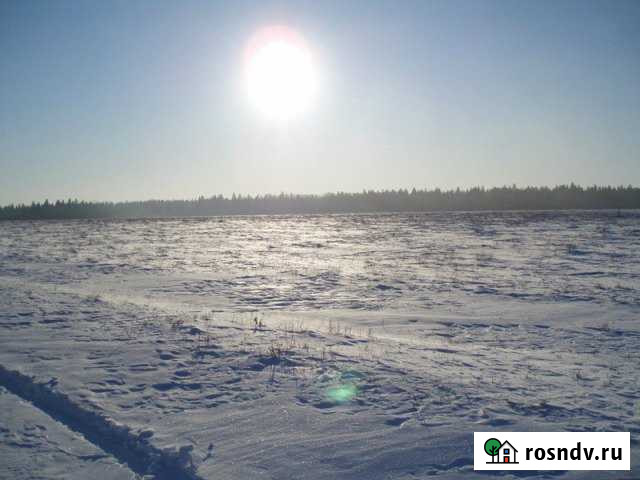 Участок ИЖС 25 сот. на продажу в Отрадном Отрадный - изображение 1