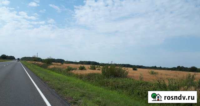 Участок СНТ, ДНП 4100 сот. на продажу в Ладушкине Ладушкин - изображение 1
