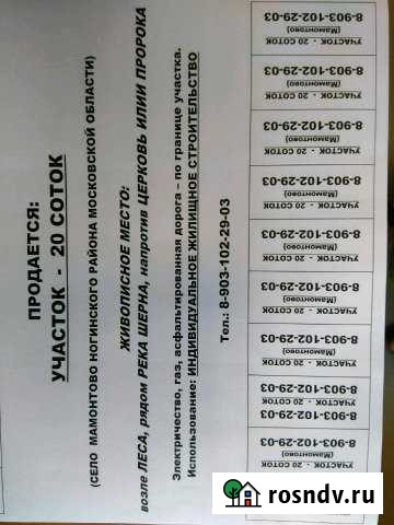 Участок ИЖС 20 сот. на продажу в Ногинске Ногинск - изображение 1