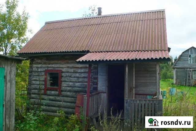 Участок СНТ, ДНП 6 сот. на продажу в Лодейном Поле Лодейное Поле - изображение 1