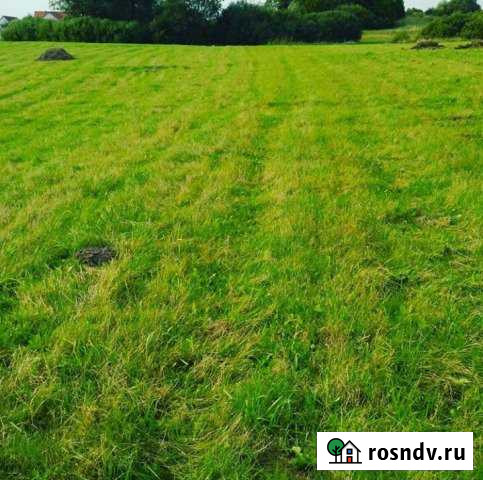 Участок ИЖС 300 сот. на продажу в Озерске Калининградской области Озерск - изображение 1