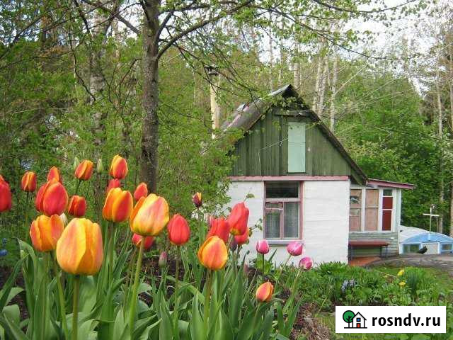 Дача 20 м² на участке 13 сот. в аренду посуточно в Сортавале Сортавала - изображение 1