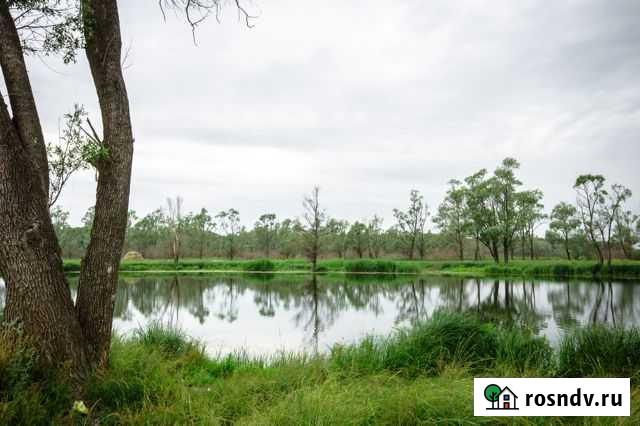 Участок ИЖС 135 сот. на продажу в Алкино-2 Алкино-2 - изображение 1