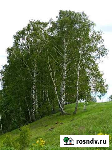 Участок СНТ, ДНП 7 сот. на продажу в Воротынске Воротынск - изображение 1