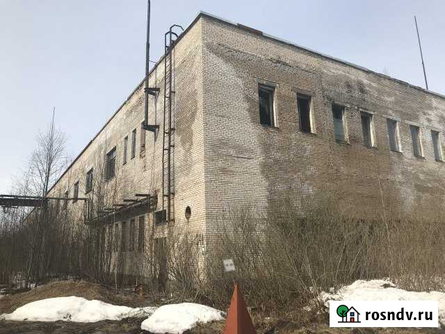 Производственное помещение, 4990 кв.м. Санкт-Петербург - изображение 1