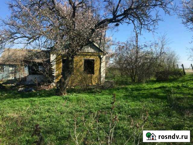 Участок ИЖС 35 сот. на продажу в Переясловской Переясловская - изображение 1