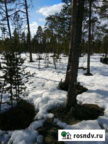 Участок СНТ, ДНП 6 сот. на продажу в Молочном Мурманской области Молочный - изображение 1