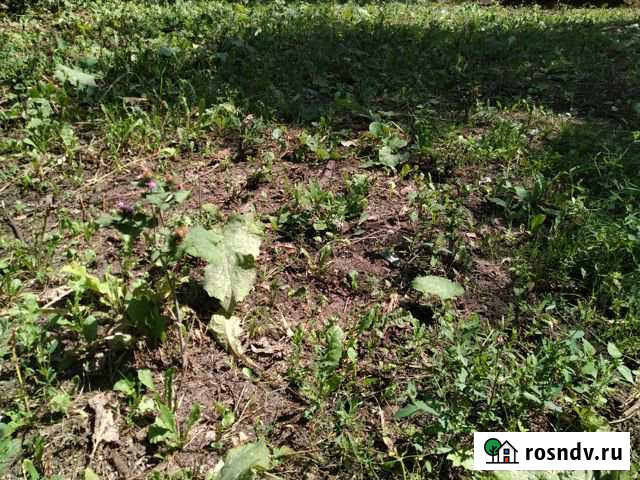 Участок СНТ, ДНП 1050 сот. в аренду в Гремячьем Гремячье - изображение 1