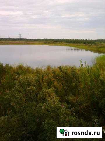 Участок СНТ, ДНП 500 сот. на продажу в Невьянске Невьянск - изображение 1