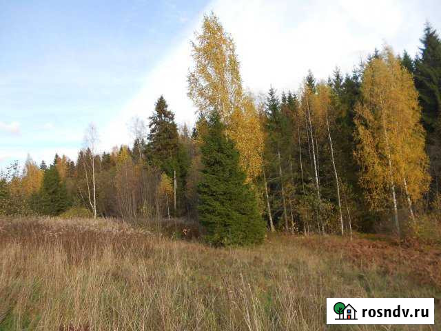 Участок ИЖС 17 сот. на продажу в Валдае Валдай - изображение 1