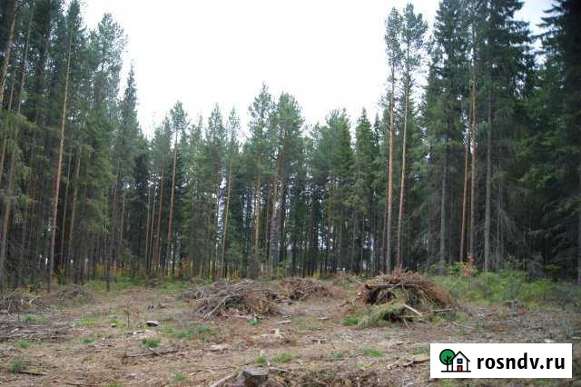 Участок ИЖС 10 сот. на продажу в Ревде Свердловской области Ревда - изображение 1