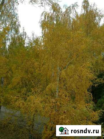 Участок ИЖС 10 сот. на продажу в Рузаевке Рузаевка - изображение 1