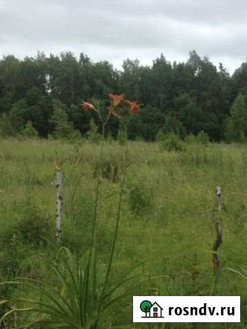 Участок ИЖС 70 сот. на продажу в Ладожской Ладожская - изображение 1