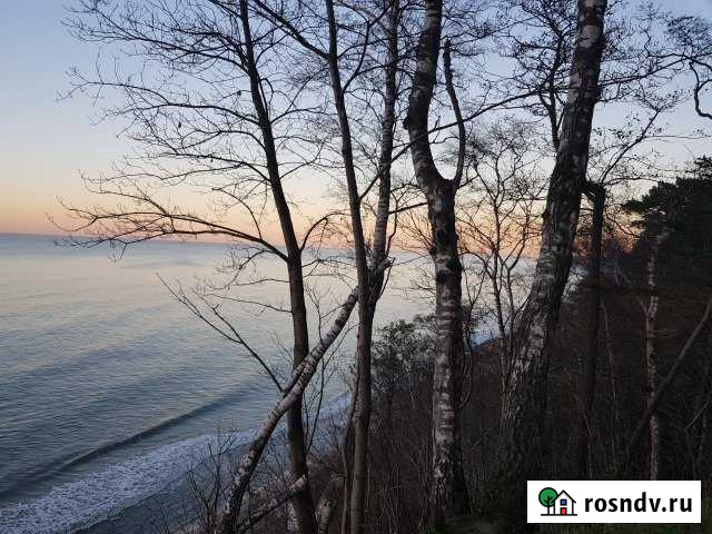 Участок ИЖС 30 сот. на продажу в Светлогорске Светлогорск - изображение 1