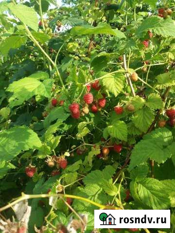 Дача 50 м² на участке 6 сот. на продажу в Оби Обь - изображение 1