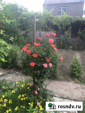 Дача 20 м² на участке 4.5 сот. на продажу в Нартане Нартан - изображение 1