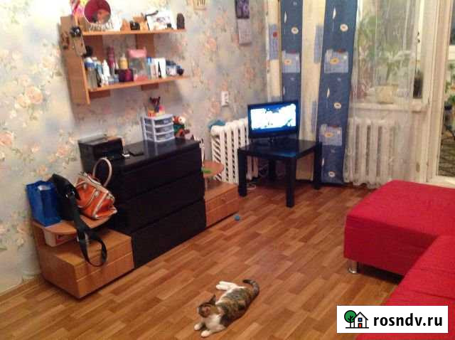 Комната 14 м² в 4-ком. кв., 1/9 эт. в аренду на длительный срок в Краснообске Краснообск - изображение 1