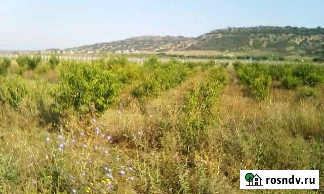 Участок СНТ, ДНП 500 сот. на продажу в Бахчисарае Бахчисарай - изображение 1