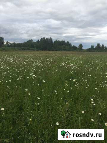 Участок СНТ, ДНП 500 сот. на продажу в Гагарине Гагарин - изображение 1