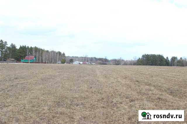 Участок СНТ, ДНП 403 сот. на продажу в Петушках Петушки - изображение 1