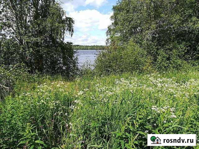 Участок ИЖС 185 сот. на продажу в Пряже Пряжа - изображение 1