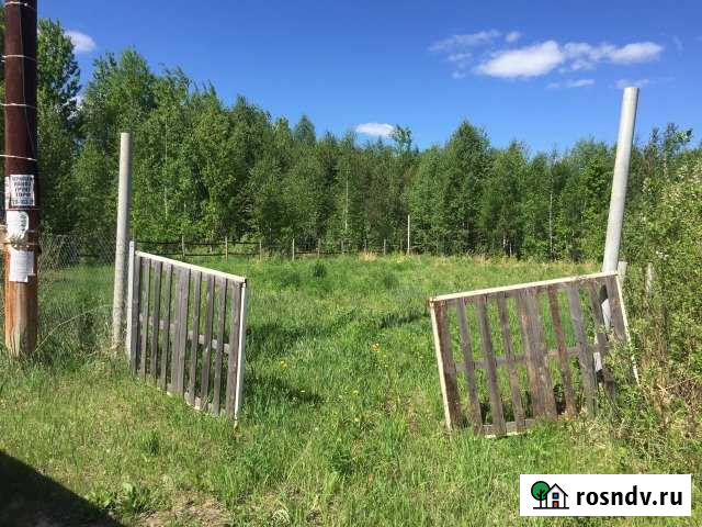 Участок СНТ, ДНП 8 сот. на продажу в Большом Козино Большое Козино - изображение 1