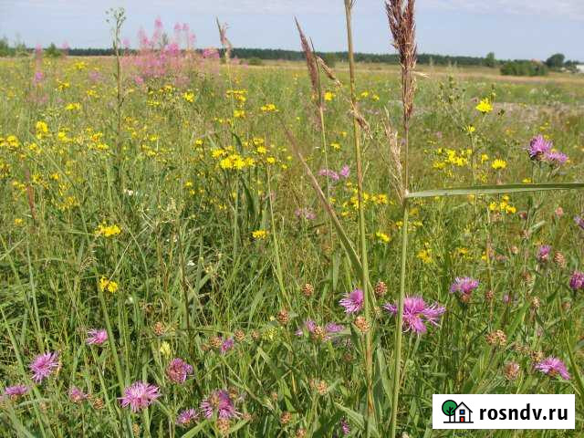 Участок СНТ, ДНП 11 сот. на продажу в Горбунках Горбунки - изображение 1