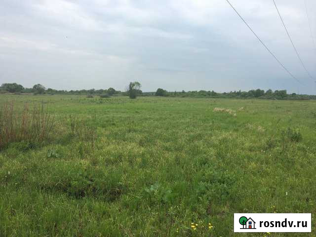 Участок СНТ, ДНП 180 сот. на продажу в Брянске Брянск - изображение 1