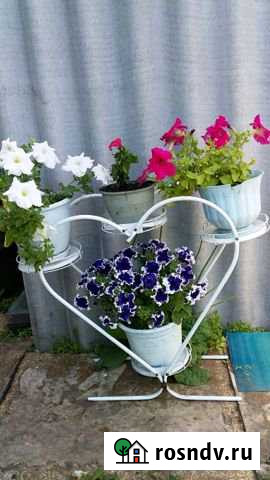 Участок СНТ, ДНП 4 сот. на продажу в Каменске-Уральском Каменск-Уральский - изображение 1