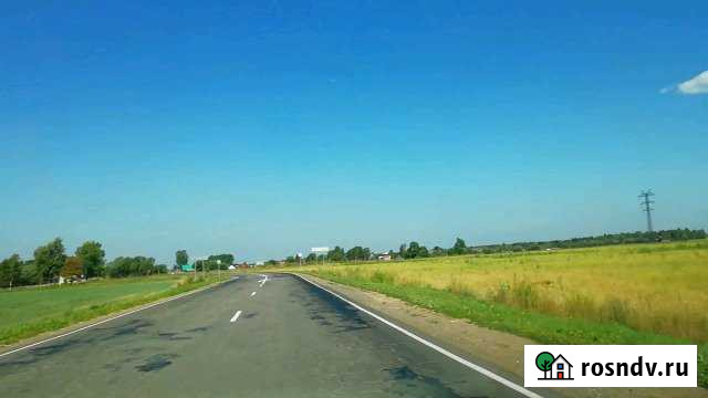 Участок ИЖС 20 сот. на продажу в Волосово Волосово - изображение 1