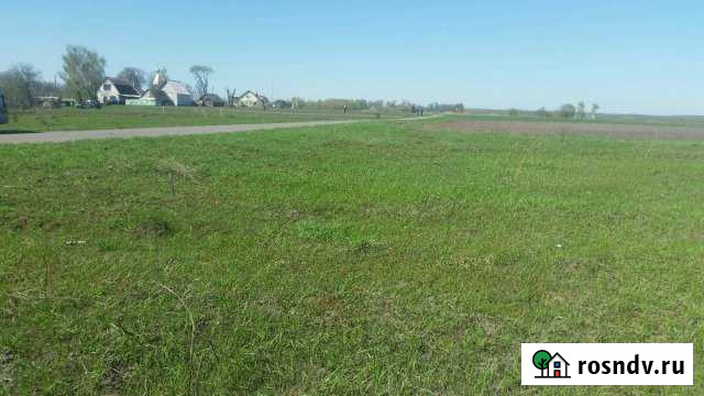 Участок ИЖС 40 сот. на продажу в Выгоничах Выгоничи - изображение 1