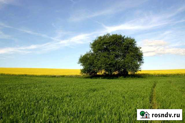 Участок СНТ, ДНП 10 сот. на продажу в Ворсме Ворсма - изображение 1