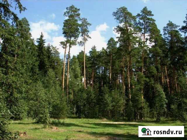 Участок ИЖС 14 сот. на продажу в Богородском Московской области Богородское - изображение 1