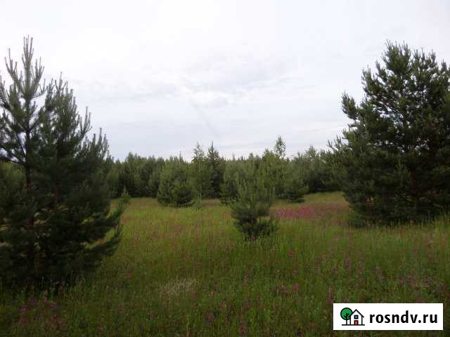 Участок СНТ, ДНП 15 сот. на продажу в Елатьме Елатьма - изображение 1