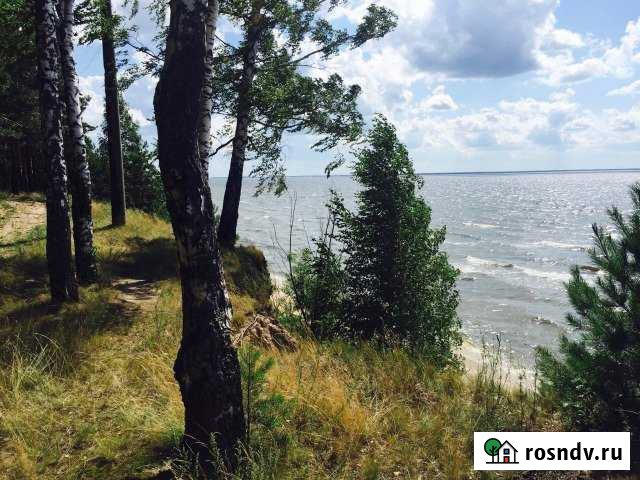 Участок ИЖС 100 сот. на продажу в Городце Городец - изображение 1